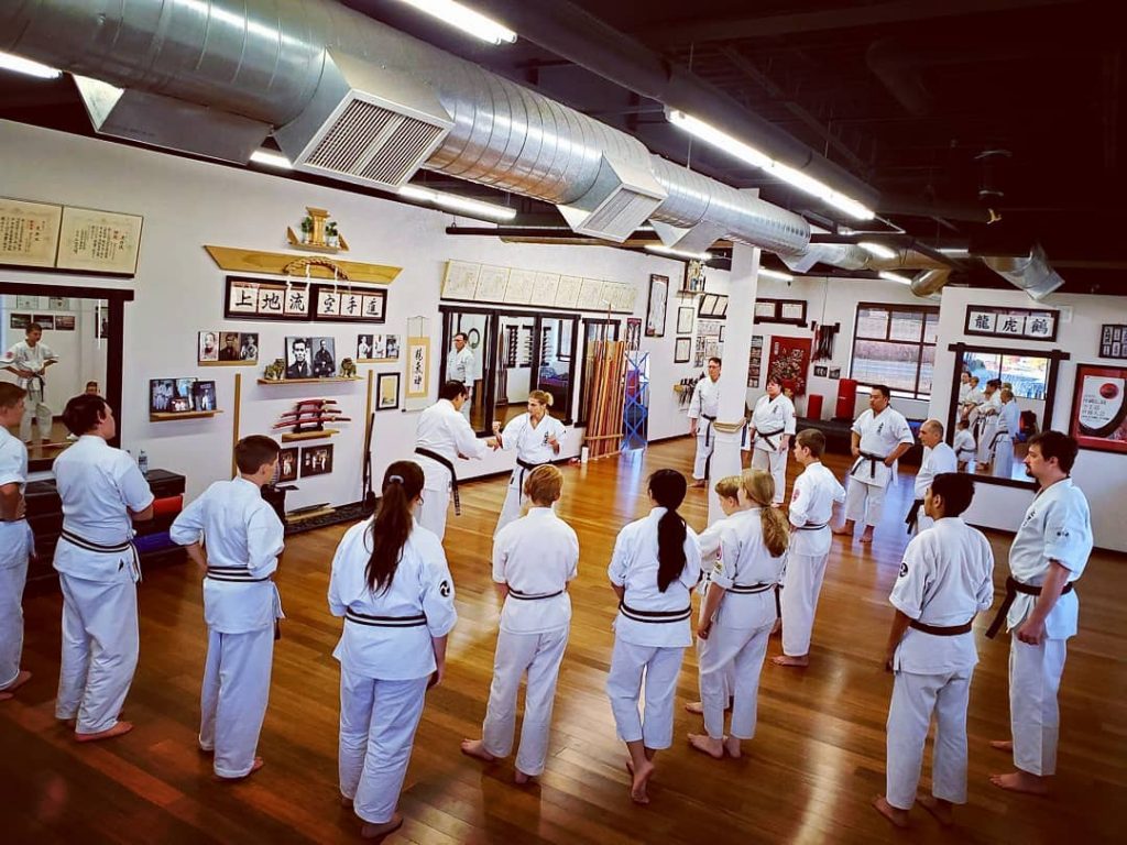 Bennett's Karate IUKF 2019 Seminar 1