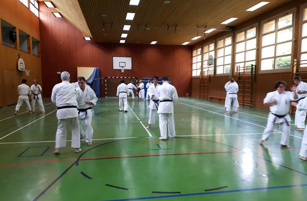 Uechi Seminar in Germany