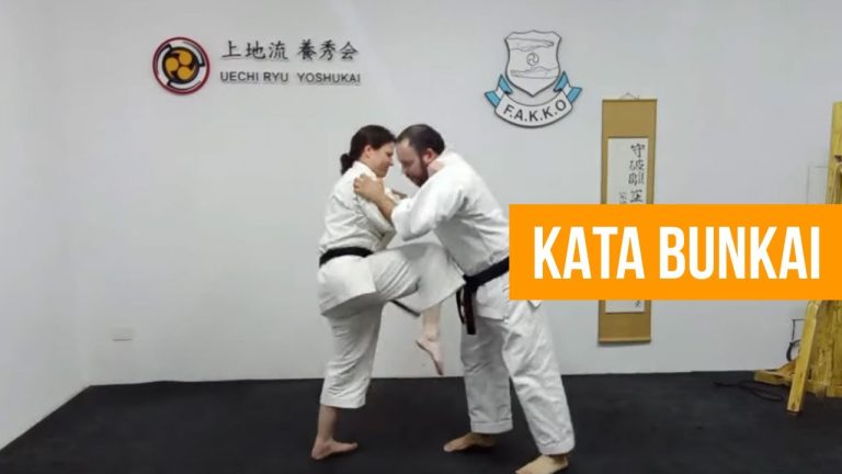Sechin Bunkai Variations