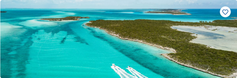 Next Cruise and WinterFest